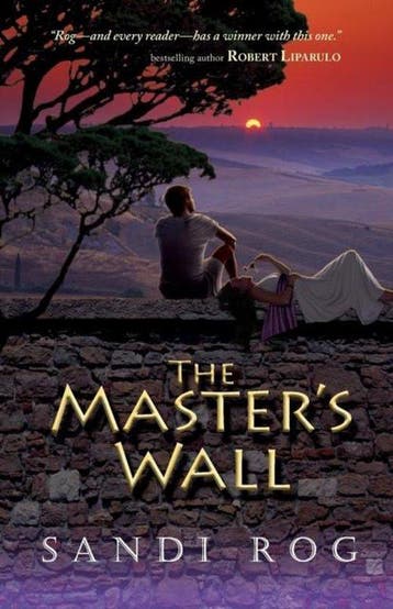 The Masters Wall - Sandi Rog 9781936341023, Verzenden, Zo goed als nieuw, Sandi Rog