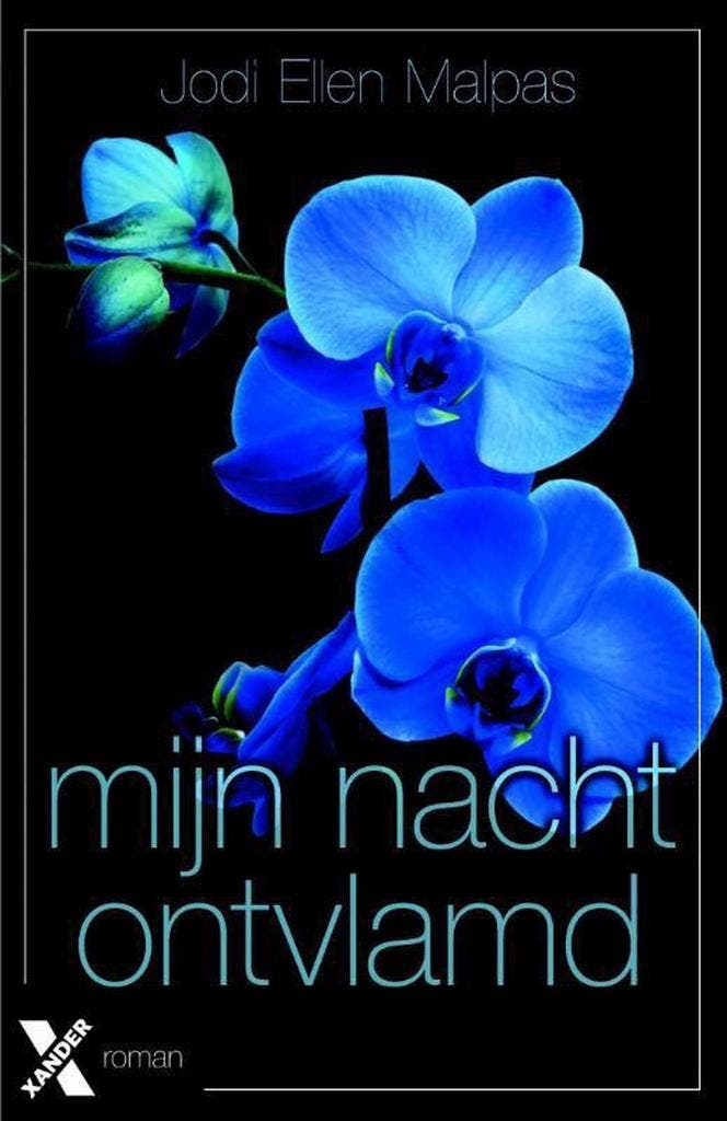 Ontvlamd / Mijn nacht / 1 - Jodi Ellen Malpas 9789401605380, Boeken, Romans, Zo goed als nieuw, Verzenden