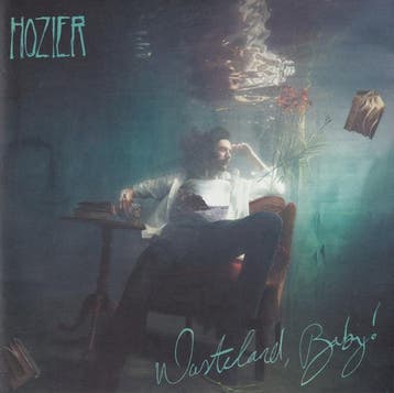 Hozier - Wasteland, Baby!, Ophalen of Verzenden, Gebruikt