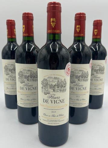 2015 Fleurs de Vigne - Saint-Émilion Grand Cru - 6 Flessen, Nieuw