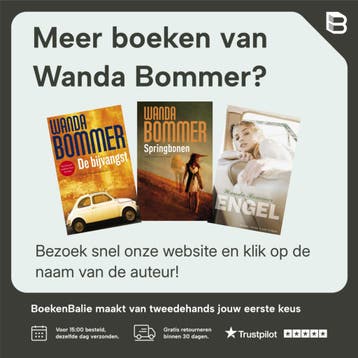 Panorama West - Wanda Bommer 9789038894355, Verzenden, Gelezen, Wanda Bommer