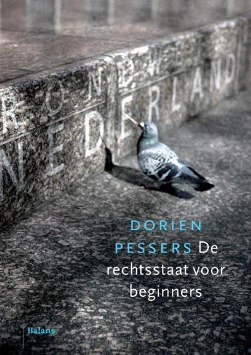 De rechtsstaat voor beginners - Dorien Pessers 9789460033797, Verzenden, Zo goed als nieuw, Dorien Pessers