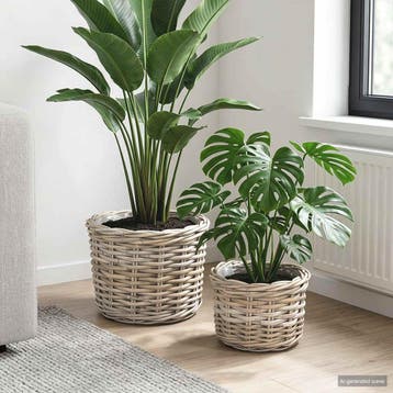 vidaXL Bloempot Mand GENDT 2 st Natuurlijk grijs Kubu Rattan, Verzenden, Nieuw
