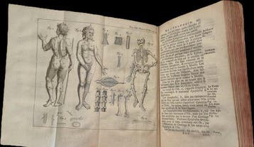 M. de Chevigny / Pierre Massuet - La Science des Personnes