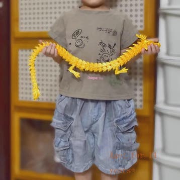 Beweegbare 3D Geprinte Draak Fidget Toy - 88cm Kristal Speel, Kinderen en Baby's, Speelgoed | Overig, Verzenden, Nieuw