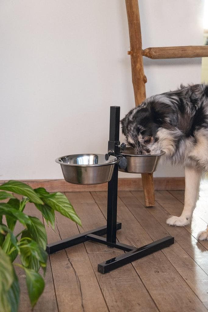 Beeztees Standaard - Dinerset Hond - Zwart - 25 cm, Tuin en Terras, Vogelhuisjes en Vogelbaden, Zo goed als nieuw, Ophalen of Verzenden