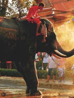 Not for Parents Real Wonders of the World 9781743217337, Verzenden, Zo goed als nieuw, Lonely Planet