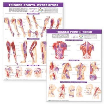 Trigger Point Chart Set: Torso & Extremities  Lam, Verzenden, Nieuw