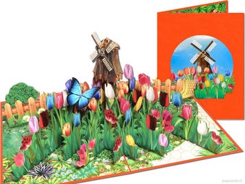 Grote Hollands Glorie 3D wenskaart: Molen met prachtig kl..., Verzenden, Nieuw