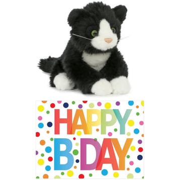 Zwart-witte kat knuffel - pluche - 18 cm - Happy Birthday, Verzenden, Nieuw