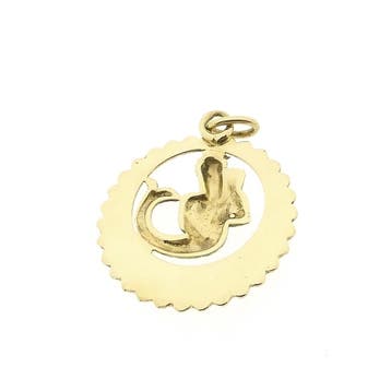 Gouden sterrenbeeld hanger; Waterman (Hanger of bedel), Ophalen of Verzenden, Gebruikt, Goud, Overige merken