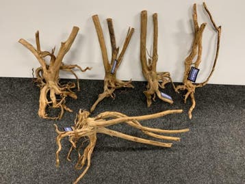 Boutique stump M 65-85cm (Natuurlijk hout), Dieren en Toebehoren, Ophalen of Verzenden, Nieuw, Plant(en), Steen of Hout