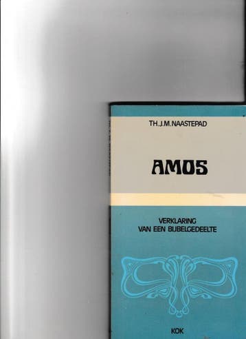 Amos / Verklaring van een bijbelgedeelte 9789024225927, Verzenden, Zo goed als nieuw, Th.J. Naastepad