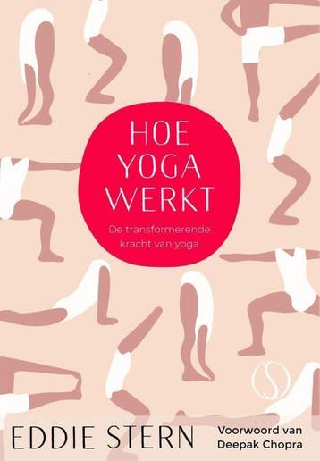 Hoe yoga werkt - Eddie Stern 9789492995346, Verzenden, Gelezen, Eddie Stern