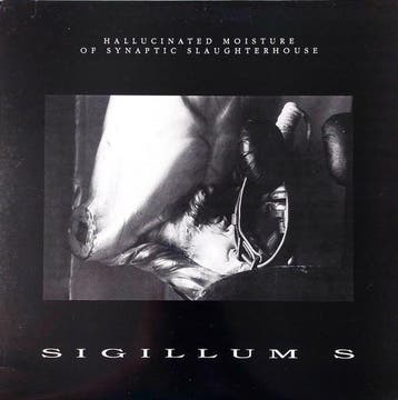 LP gebruikt - Sigillum S - Hallucinated Moisture Of Synap..., Verzenden, Zo goed als nieuw, Overige formaten
