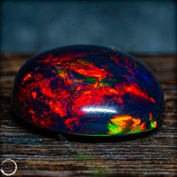 Edelster Black Opal in fel regenboogkleuren – Een vuurwerk