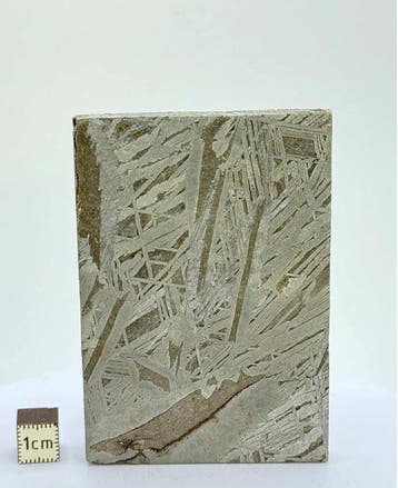 Aletai meteoriet IJzer meteoriet - 241 g - (1), Verzamelen, Mineralen en Fossielen