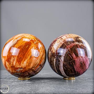 Versteend hout-kogelset – twee fascinerende