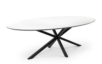 Tafel 220X120 cm, Ophalen, 100 tot 150 cm, 200 cm of meer, Zo goed als nieuw