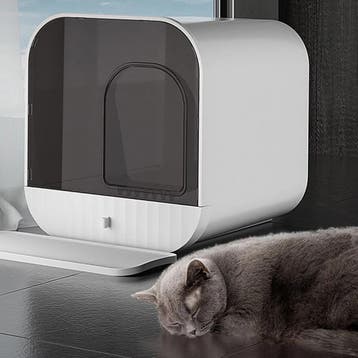 MaxxPet Kattenbak 43x42x40cm - Wit (Katten toebehoren, Dier), Verzenden, Nieuw