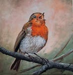 Tomasz Bednarski (1965) - Robin singing