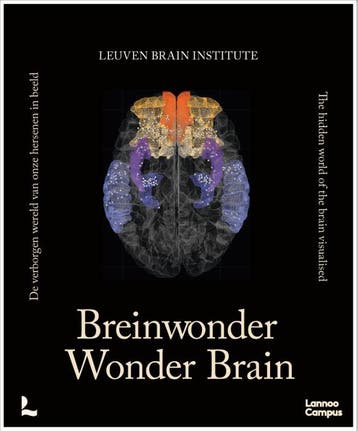 Breinwonder / Wonder Brain | Nieuw, Ophalen of Verzenden, Nieuw, Mathieu Vandenbulcke-Ann Van der Jeugd