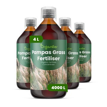 Pampasgras Vloeibare Meststof - Set 4x1 liter, Tuin en Terras, Verzenden, Mest