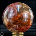Natuurlijke sfeer of versteend hout- 1704.08 g