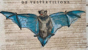 Conrad Gesner - Historiae animalium - 1617, Antiek en Kunst