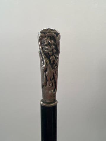 Wandelstok - Zilver