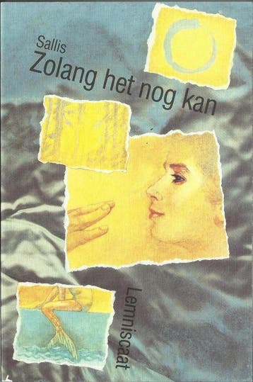 Zolang het nog kan - S. Sallis 9789060695081, Verzenden, Gelezen, S. Sallis
