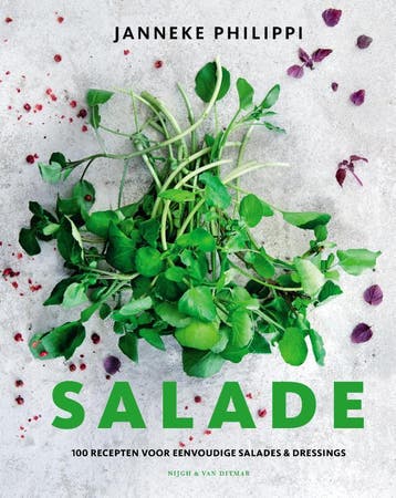 Salade - Janneke Philippi 9789038806006, Boeken, Kookboeken, Verzenden, Gelezen, Janneke Philippi