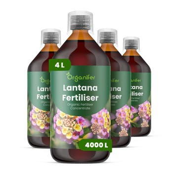 Lantana Vloeibare meststof - Set 4x1 liter, Verzenden, Mest