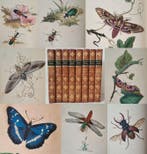 Edward Donovan - The Natural History of British Insects -