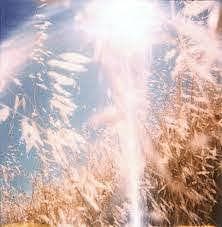 cd digi - The Range Of Light Wilderness - The Range Of Li..., Verzenden, Zo goed als nieuw