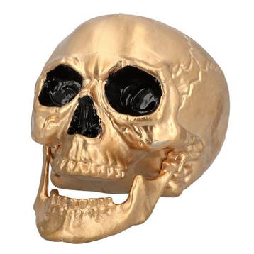 Gouden Doodskop, Verzenden, Nieuw, Feestartikel