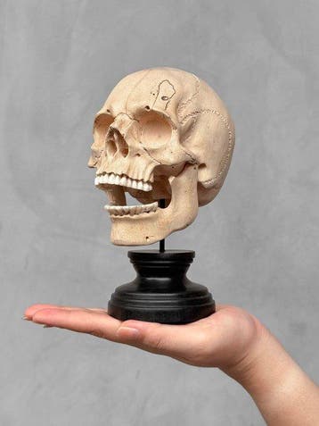 Snijwerk, NO RESERVE PRICE - Stunning hand-carved wooden, Antiek en Kunst