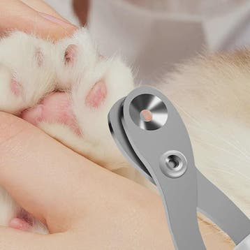 Professionele Nagelschaar voor Katten en Honden - Veilig en, Dieren en Toebehoren, Verzenden, Nieuw