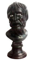 sculptuur, Testa di Seneca - 50 cm - Gips, Antiek en Kunst, Antiek | Keramiek en Aardewerk