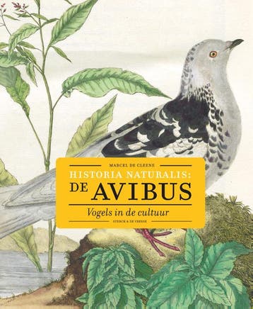 Historia Naturalis: De Avibus | De Cleene, Marcel | Nieuw, Boeken, Ophalen of Verzenden, Nieuw, De Cleene, Marcel