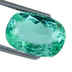Paraiba toermalijn - 8.66 ct - Gemological Institute of, Nieuw