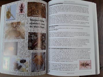 Voliére vogels - Bloedluis en andere Ectoparasieten, Verzenden, Gelezen, Harrie van Rooij