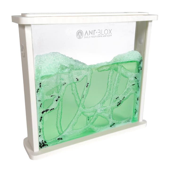 Mierenboerderij Gel inclusief mieren - WIT, Dieren en Toebehoren, Insecten en Spinnen