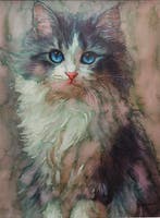 Davor Ivkovi (1965) - Cat