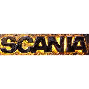 LED Logo voor SCANIA R Oranje RVS, Ophalen of Verzenden, Nieuw