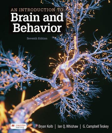 9781319498566 An Introduction to Brain and Behavior, Verzenden, Zo goed als nieuw, Bryan Kolb