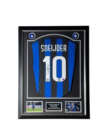 Inter Milan - Europese voetbal competitie - Wesley Sneijder, Nieuw
