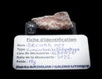 Maanmeteoriet Achondrite meteoriet - Hoogte: 5 cm - Breedte: