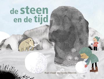 De Steen En De Tijd | Rian Visser | Nieuw, Ophalen of Verzenden, Nieuw, Rian Visser