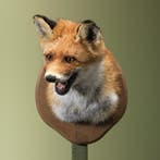 Vos Taxidermie Opgezette Dieren By Max, Verzamelen, Dierenverzamelingen, Ophalen of Verzenden, Nieuw, Wild dier, Opgezet dier
